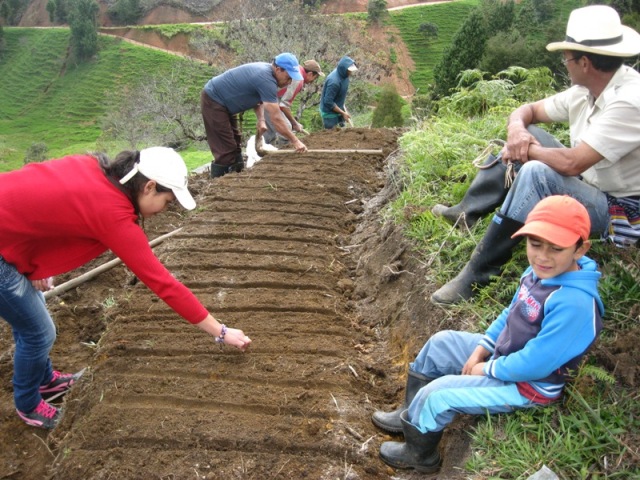 curso de sanidad vegetal vereda el hato junio 10